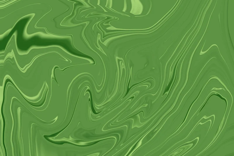 Allianz Foundation Grants